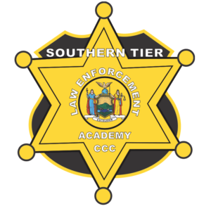 Embroidery: STLEA Logo