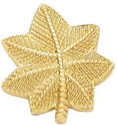 Rank, Polished Gold, MAJ - Small
