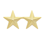 Rank, Two Star, Finish: Gold, Single Rank 3/4"