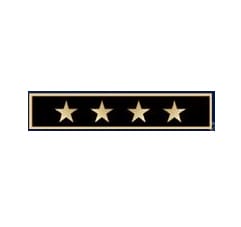 Commendation Bar, Years Service - 4 Star
